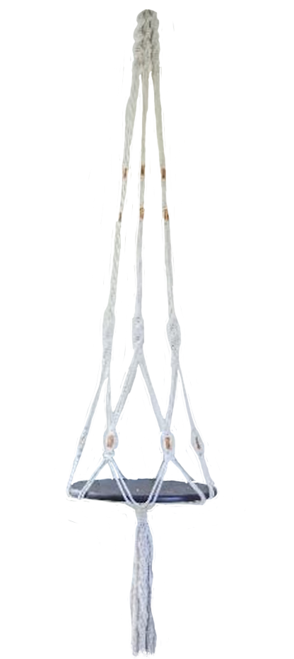 The Anne
